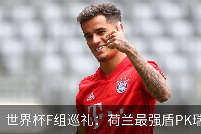 世界杯F组巡礼：荷兰最强盾PK瑞典犀利刀 日本短板明显